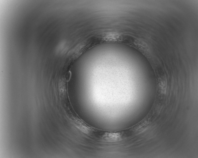 X0000060800665200511171243