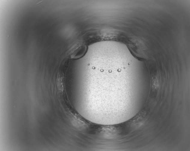 X0000060800666200511171243