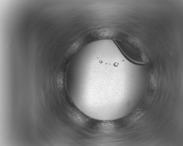 X0000060800668200511171243