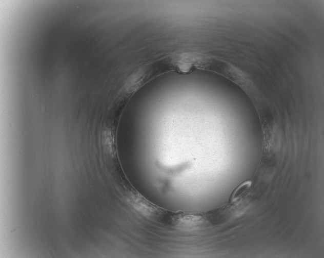 X0000060800669200511171243