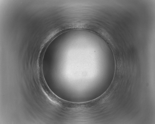 X0000060800674200511171242