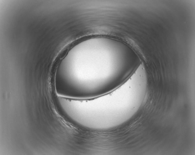 X0000060800676200511171242