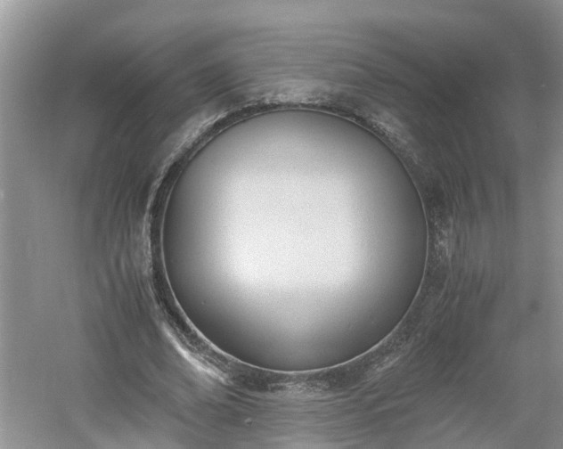 X0000060800678200511171242