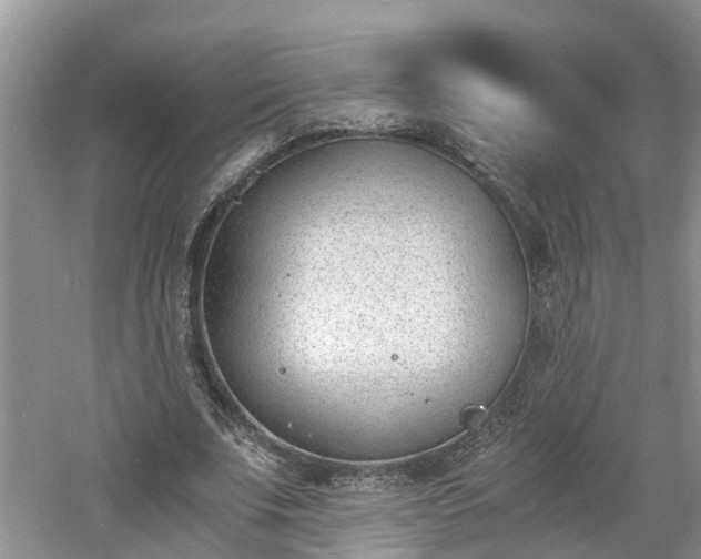 X0000060800679200511171242