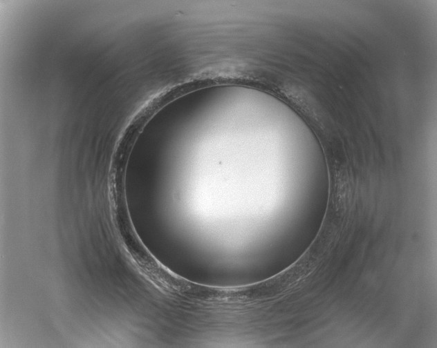 X0000060800680200511171242