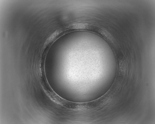 X0000060800682200511171242