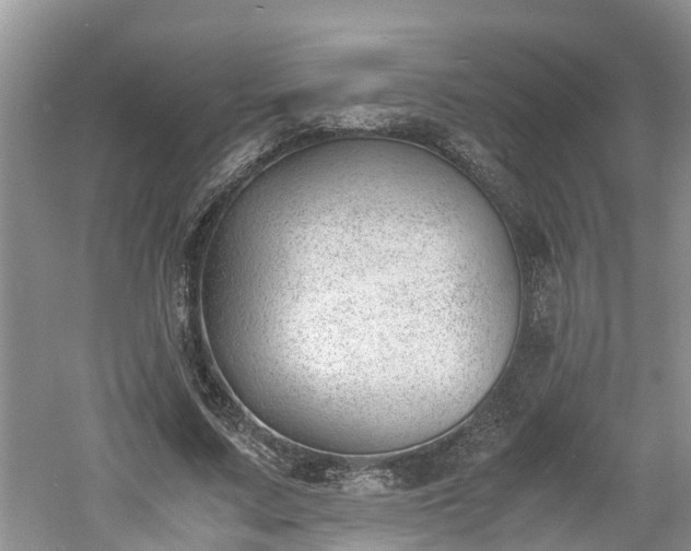 X0000060800683200511171242