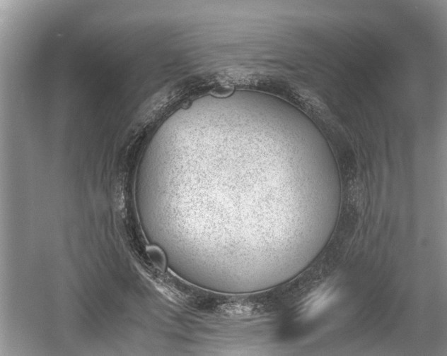 X0000060800687200511171242