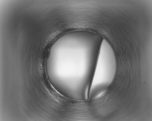 X0000060800688200511171242