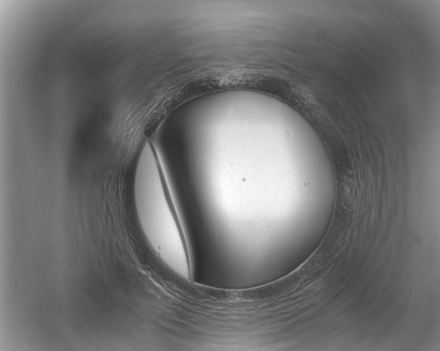 X0000060800691200511171242