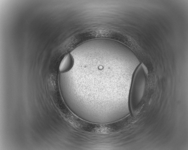 X0000060800695200511171242