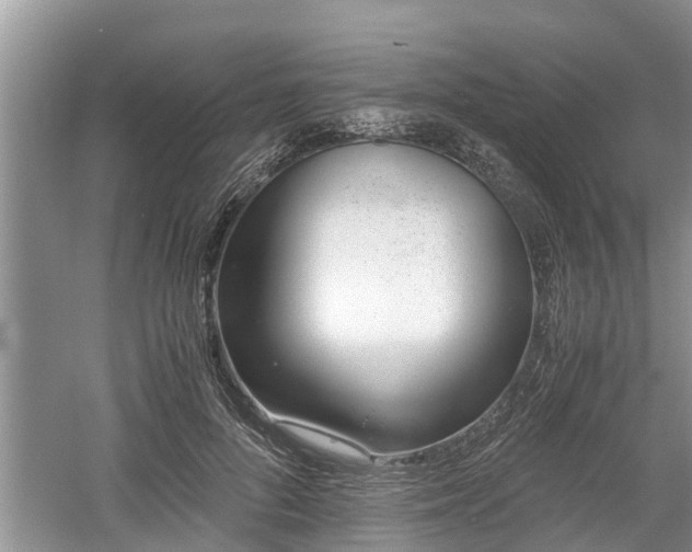 X0000060800696200511171242