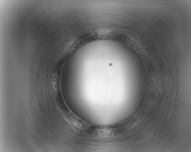 X0000060800698200511171242