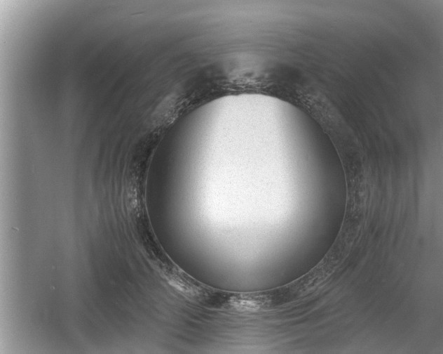 X0000060800706200511171242