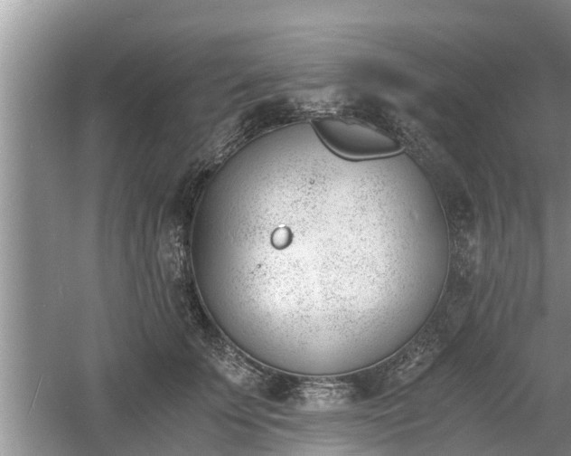 X0000060800707200511171242