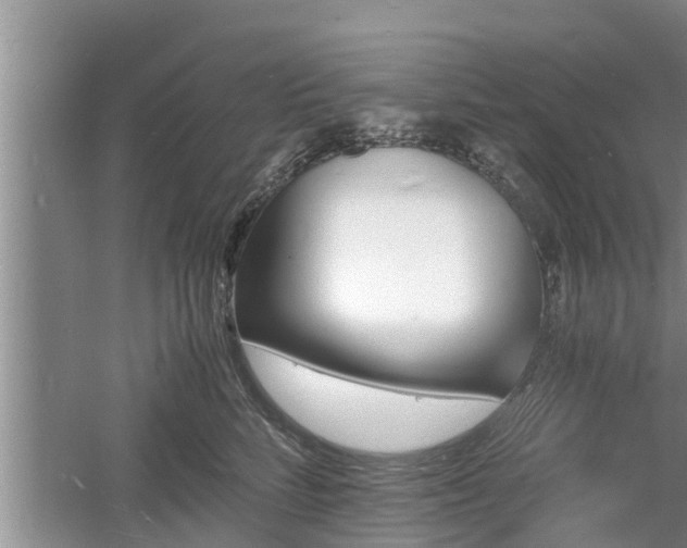 X0000060800712200511171242