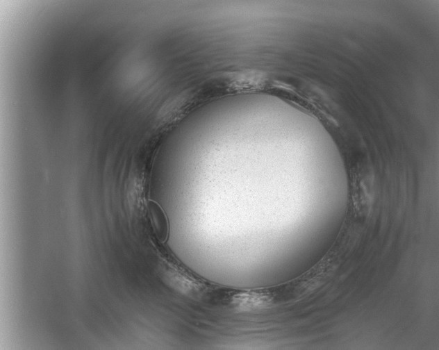 X0000060800714200511171242