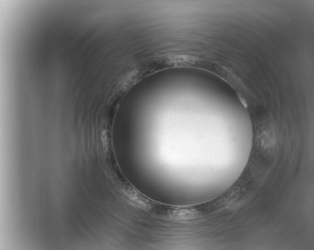 X0000060800716200511171242