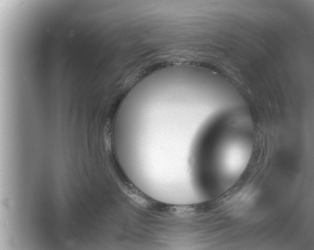 X0000060800719200511171241