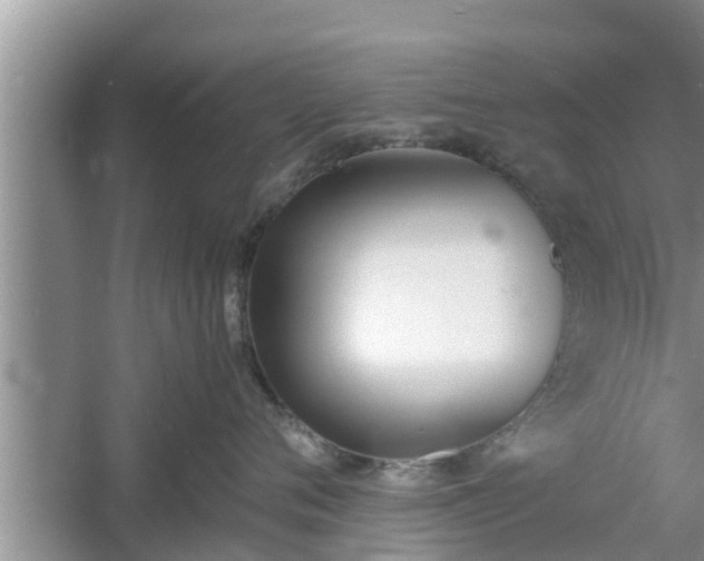 X0000060800720200511171241