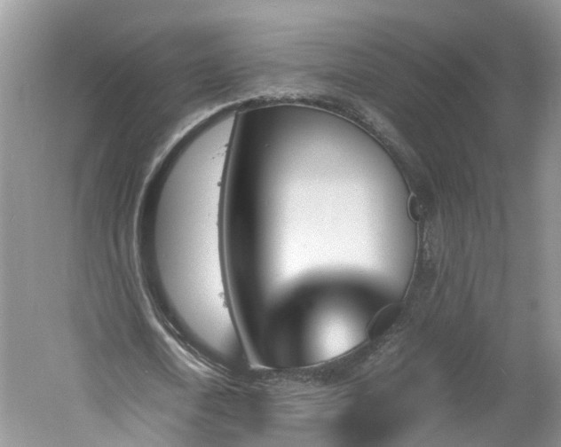 X0000060800722200511171241