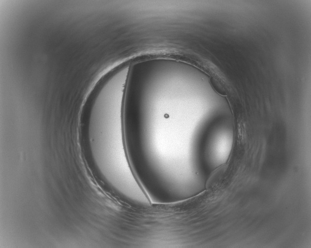 X0000060800724200511171241