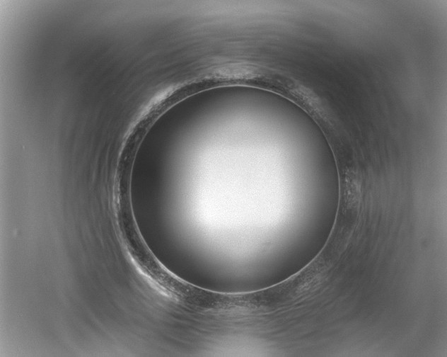 X0000060800726200511171241