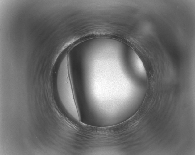 X0000060800727200511171241