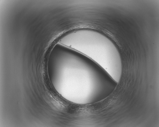 X0000060800732200511171241