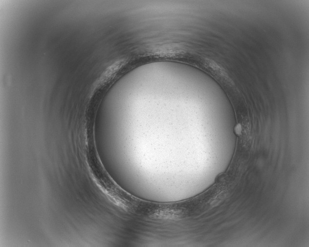 X0000060800734200511171241