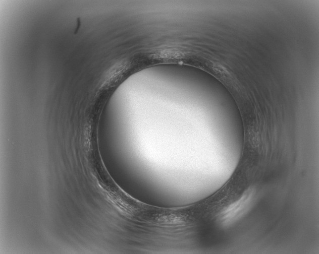 X0000060800735200511171241