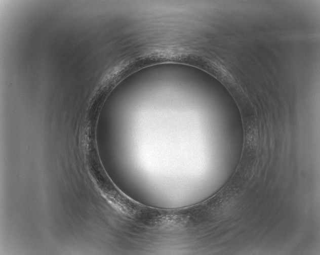 X0000060800736200511171241