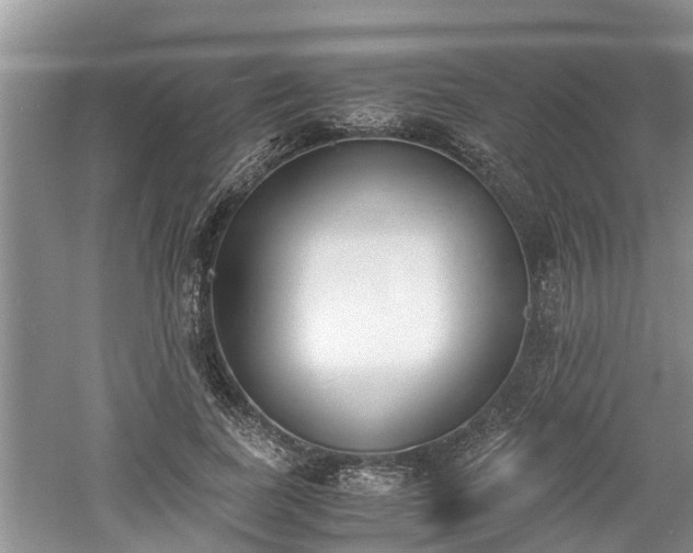 X0000060800739200511171241