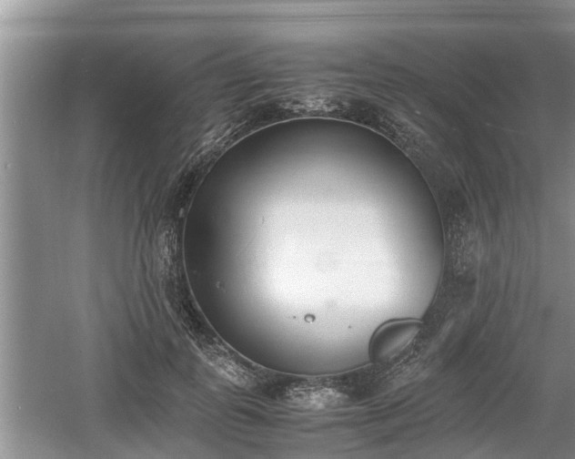 X0000060800747200511171241