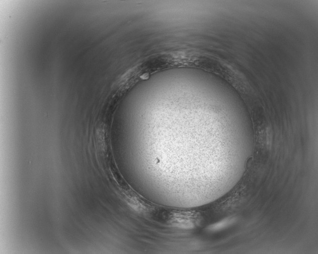 X0000060800757200511171241