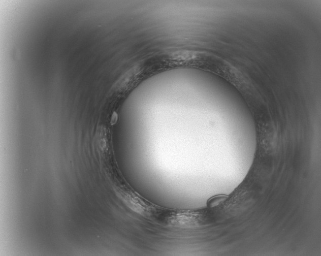 X0000060800758200511171241