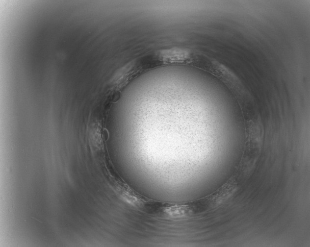 X0000060800761200511171241