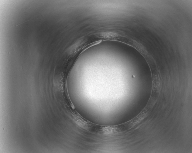 X0000060800762200511171241