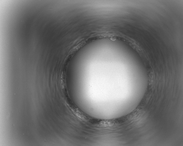 X0000060800764200511171241