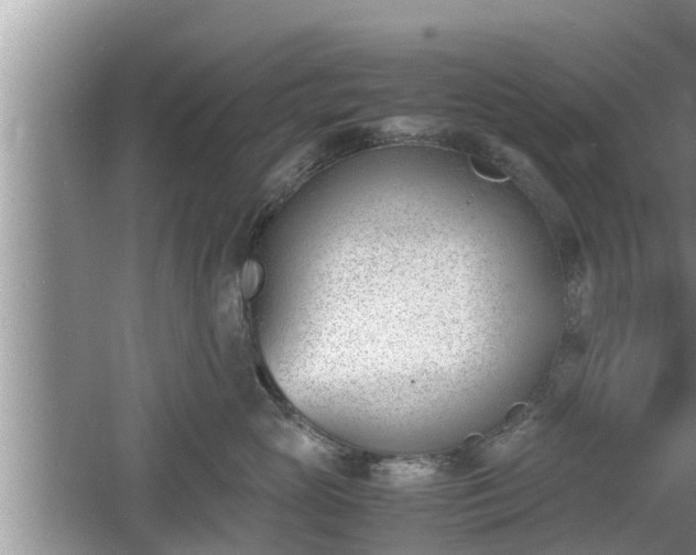 X0000060800765200511171241