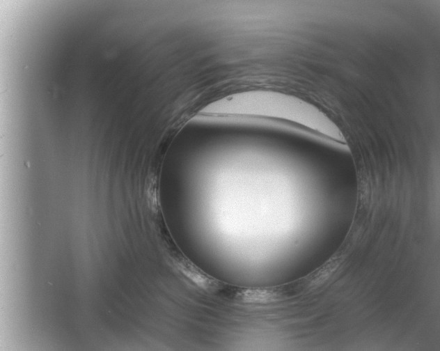 X0000060800766200511171241