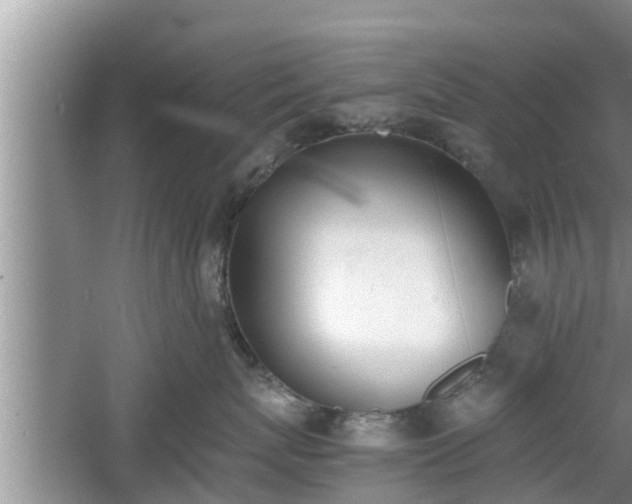 X0000060800767200511171241