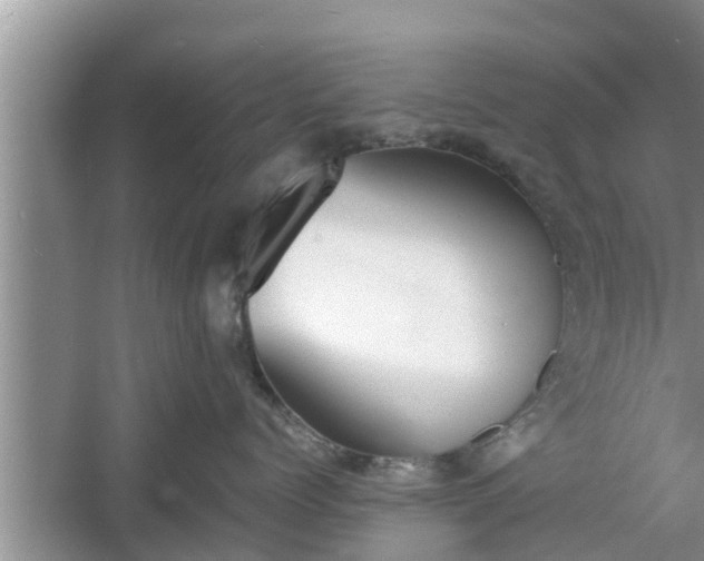 X0000060800768200511171241