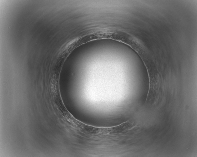 X0000060800773200511171241