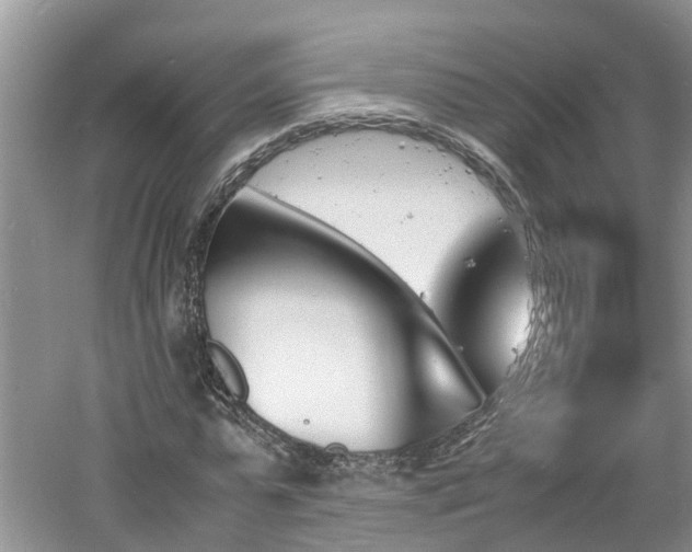 X0000060800775200511171241