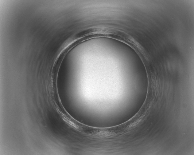 X0000060800779200511171240