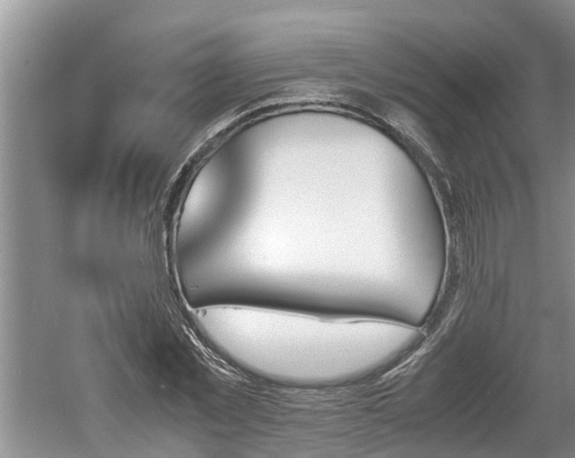 X0000060800781200511171240