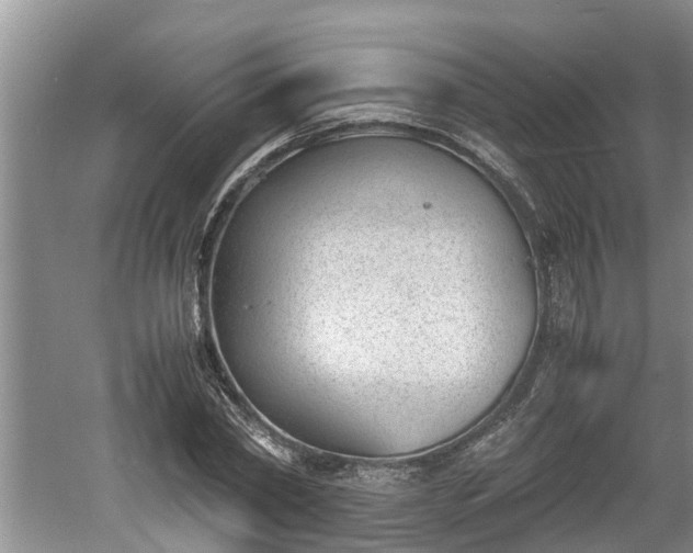 X0000060800782200511171240