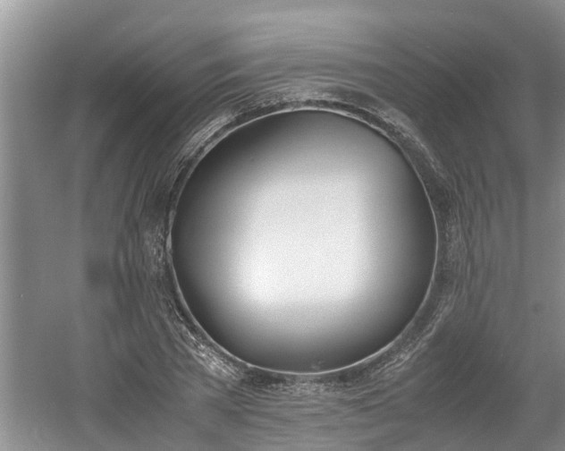 X0000060800785200511171240