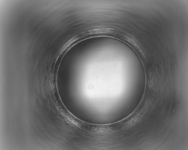 X0000060800786200511171240